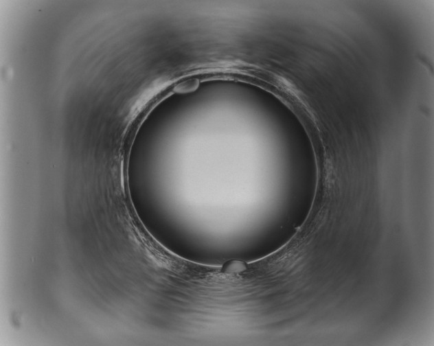 X0000100781320200806261620