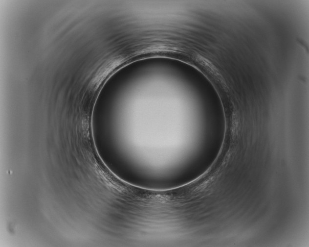 X0000100781321200806261620