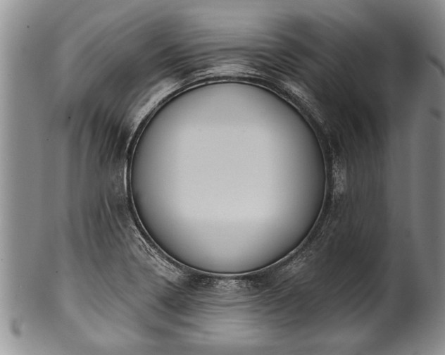 X0000100781322200806261620