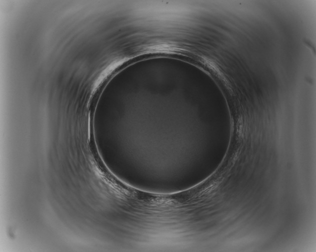 X0000100781323200806261620