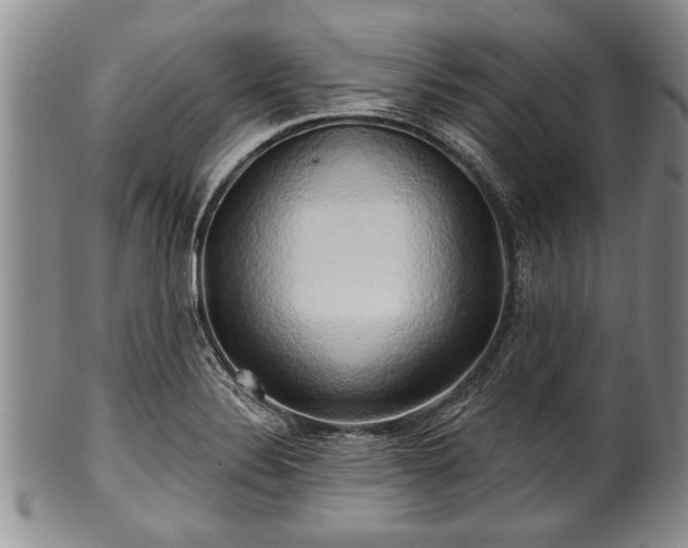 X0000100781324200806261620