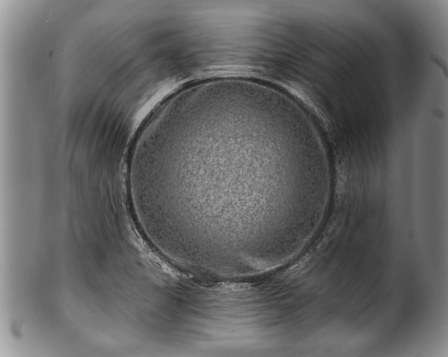 X0000100781325200806261620