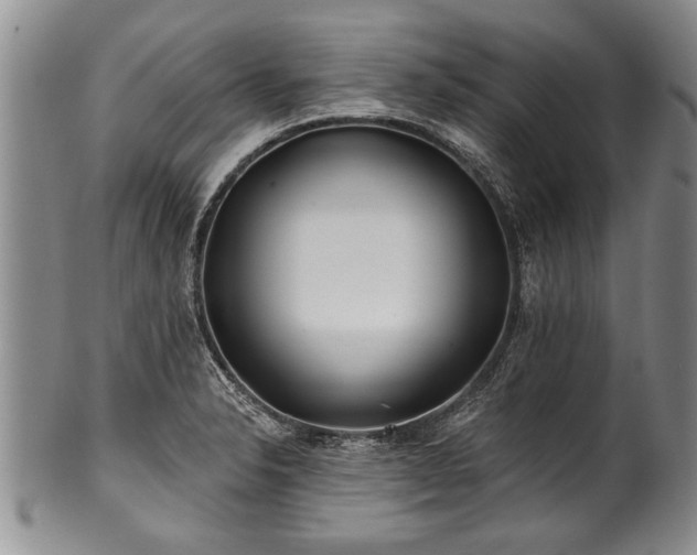 X0000100781326200806261620