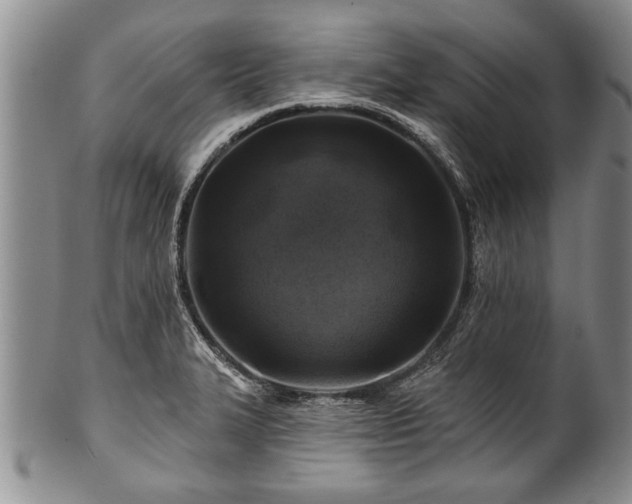 X0000100781327200806261620