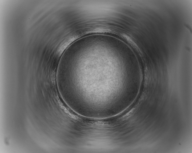 X0000100781329200806261620