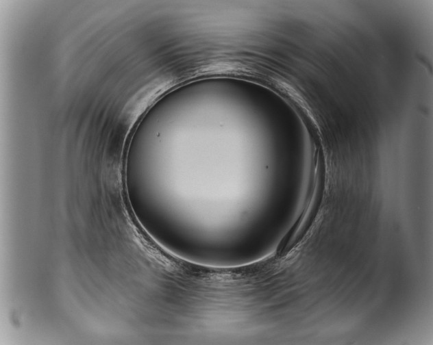 X0000100781330200806261620