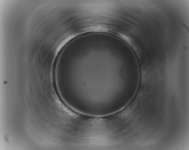 X0000100781331200806261620