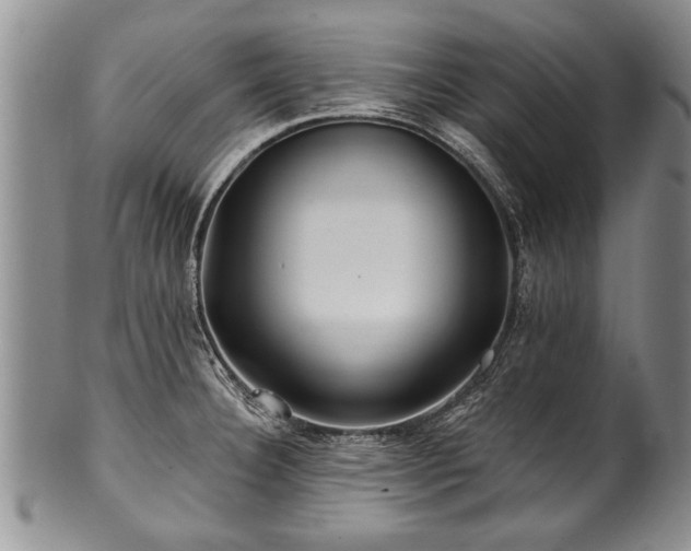 X0000100781332200806261620