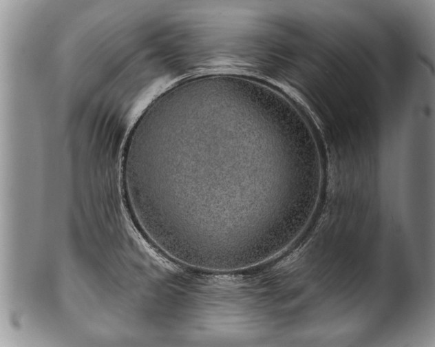 X0000100781333200806261620