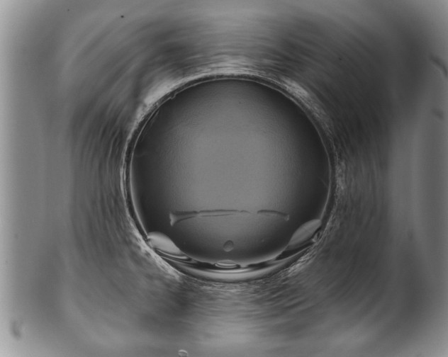 X0000100781334200806261620