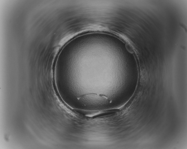 X0000100781335200806261620