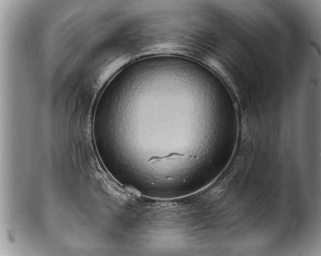 X0000100781336200806261620