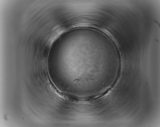 X0000100781337200806261620