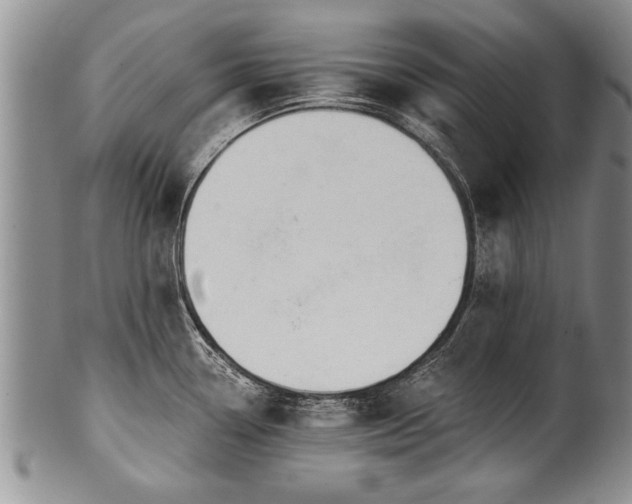 X0000100781338200806261620