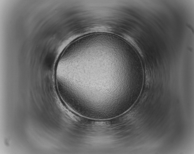 X0000100781339200806261620