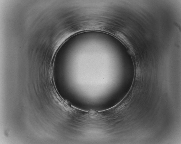 X0000100781340200806261620