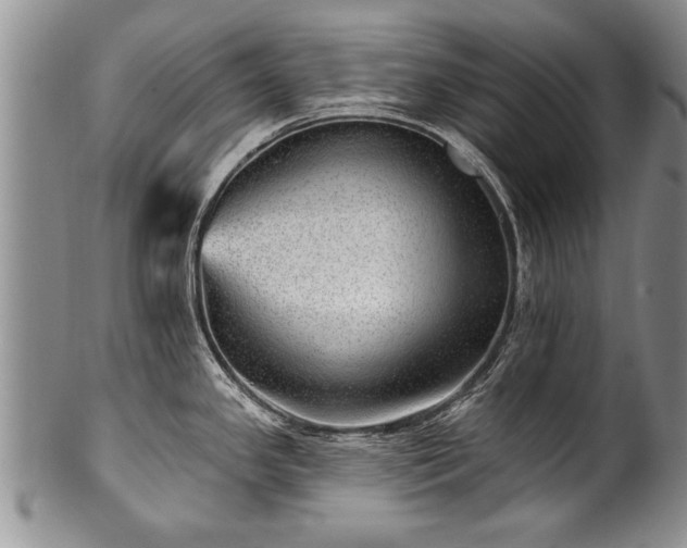 X0000100781341200806261620