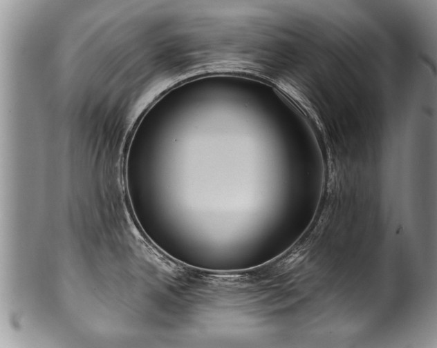 X0000100781342200806261620