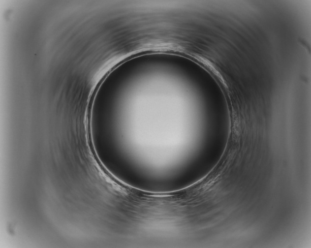 X0000100781343200806261620