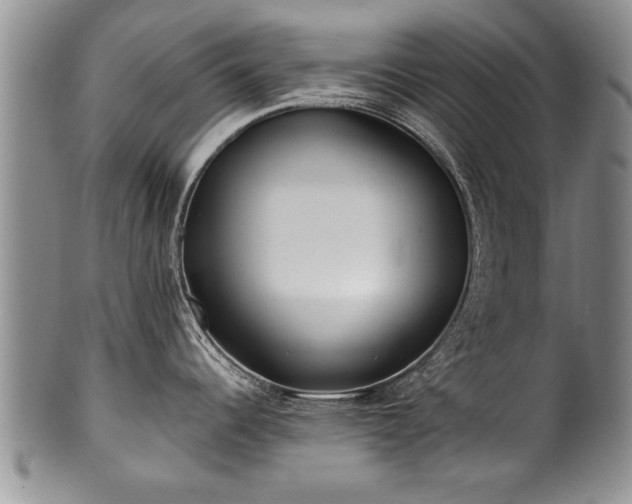 X0000100781344200806261620