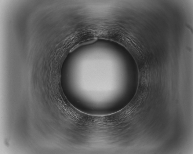 X0000100781345200806261619