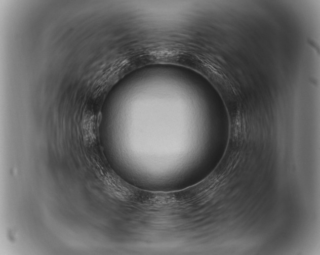 X0000100781346200806261619