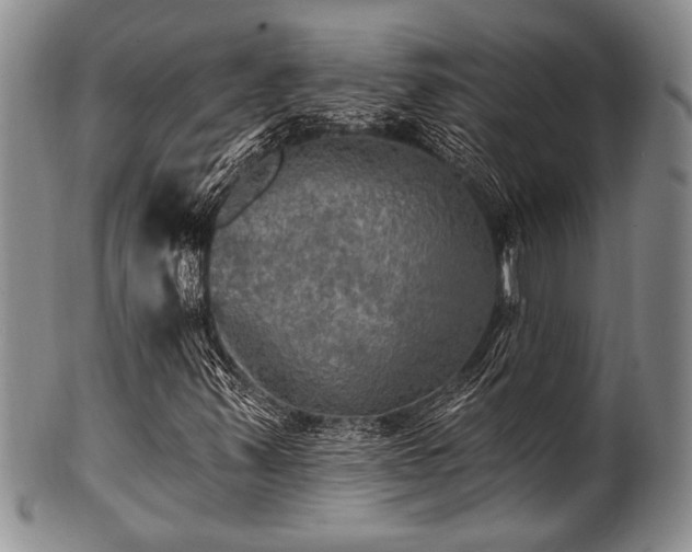 X0000100781347200806261619