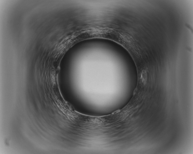 X0000100781348200806261619