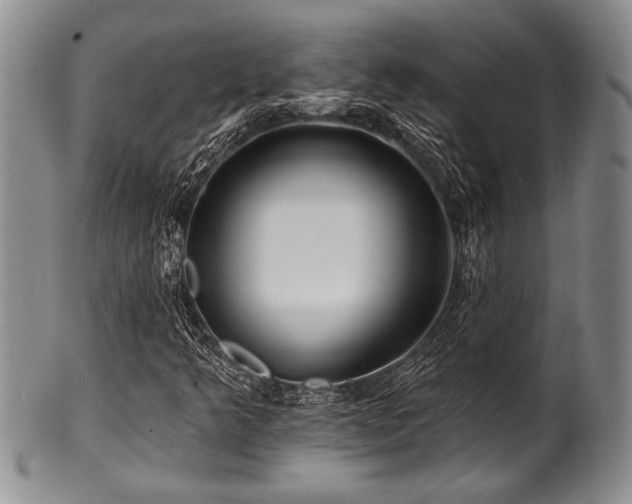 X0000100781349200806261619