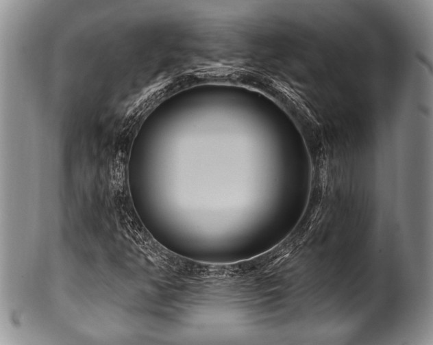 X0000100781350200806261619