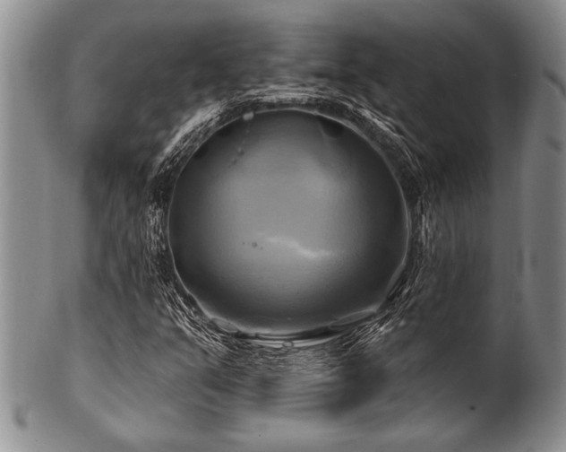 X0000100781351200806261619