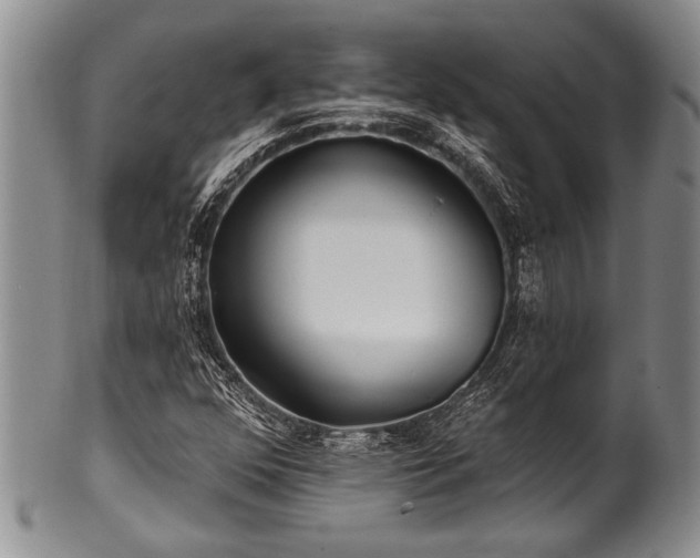 X0000100781352200806261619