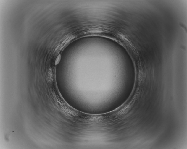 X0000100781353200806261619