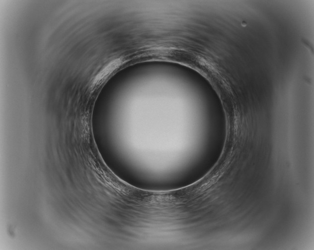 X0000100781354200806261619