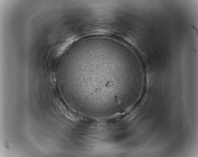 X0000100781355200806261619