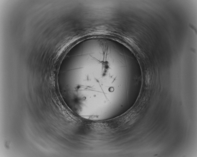 X0000100781356200806261619