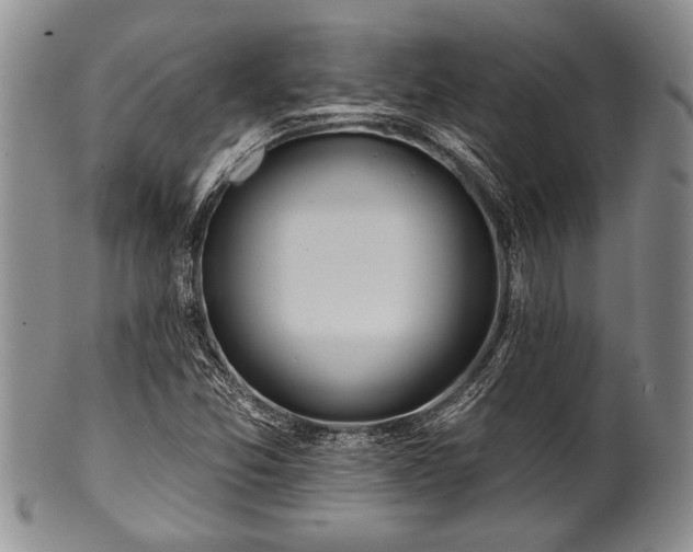 X0000100781357200806261619