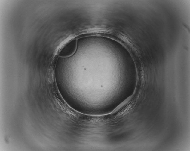 X0000100781358200806261619