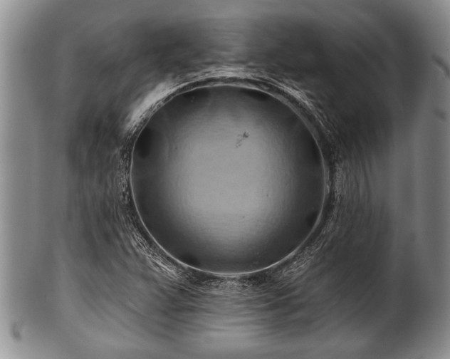 X0000100781359200806261619