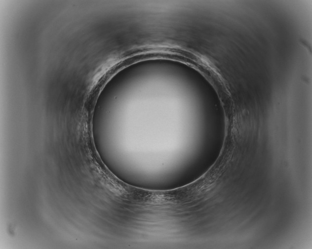 X0000100781360200806261619