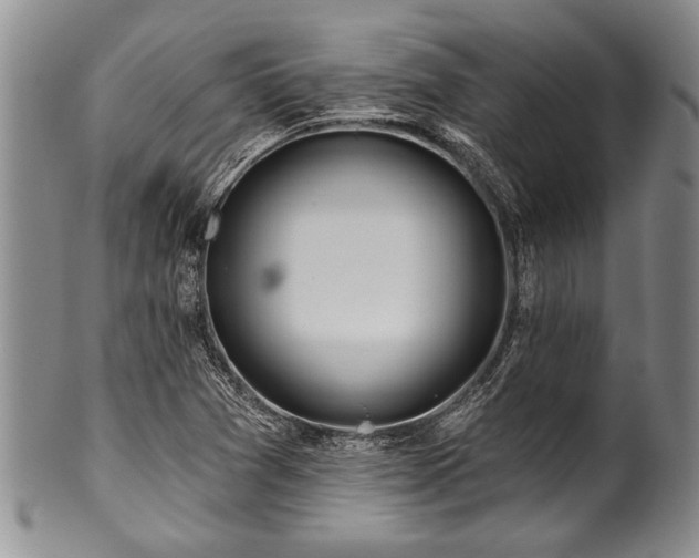 X0000100781361200806261619