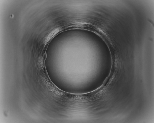 X0000100781362200806261619