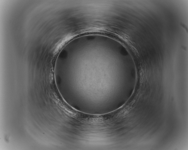 X0000100781363200806261619