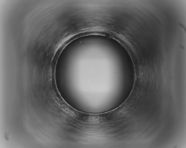 X0000100781364200806261619