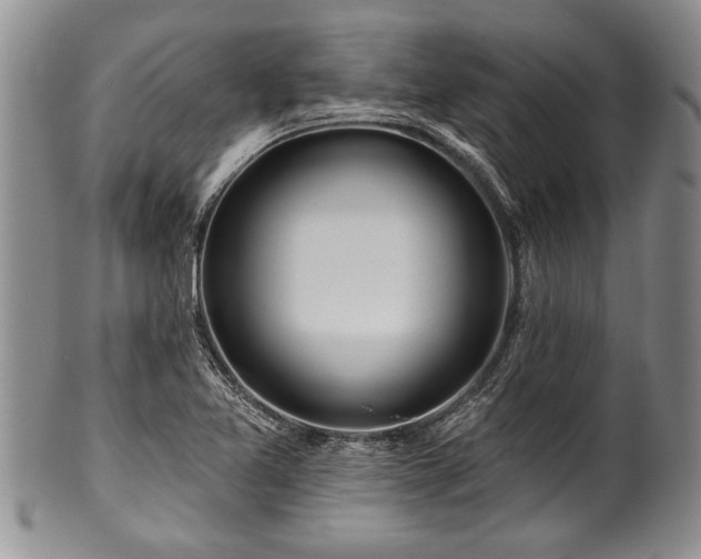 X0000100781365200806261619