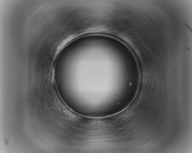 X0000100781366200806261619