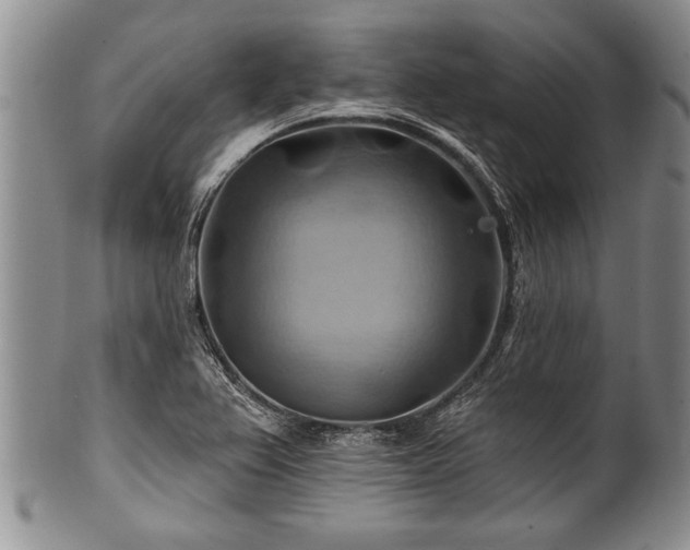 X0000100781367200806261619