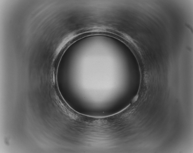 X0000100781368200806261619