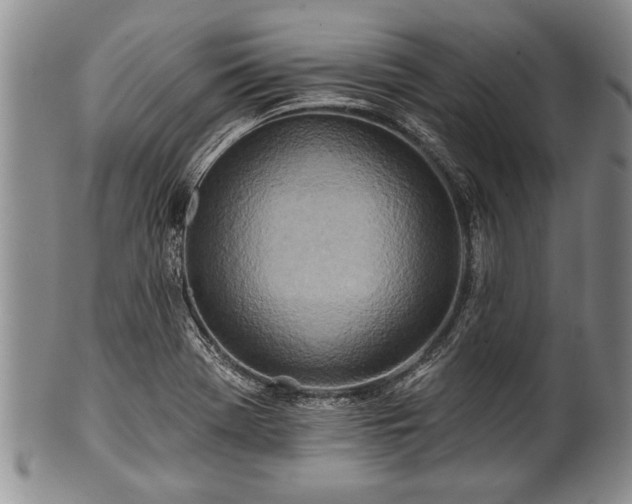 X0000100781369200806261619