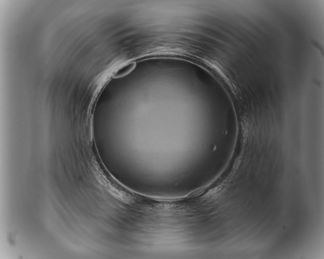 X0000100781371200806261619